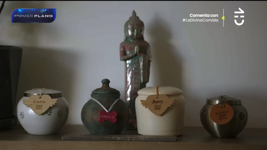 Carla Jara abrió las puertas de su casa: destacó espacio para sus mascotas fallecidas