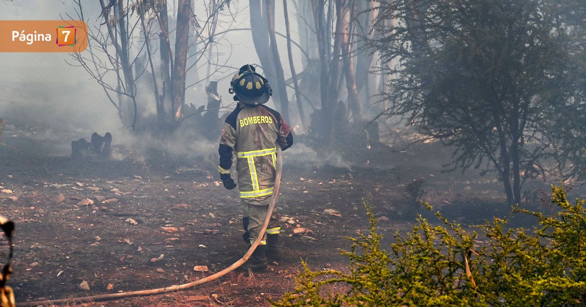 Incendio forestal en Til Til consumió más de 200 hectáreas: 300 personas tuvieron que ser evacuadas