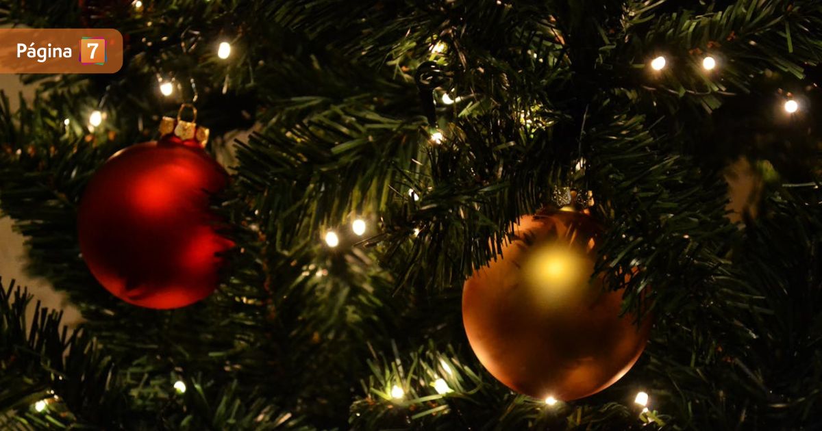 ¿Lo estás haciendo bien? Esta es la forma correcta de poner las luces del árbol de Navidad