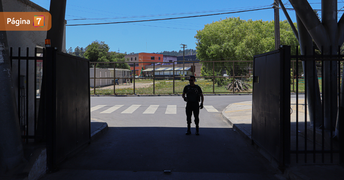 "El diablo se apoderó de él": revelan detalles del escabroso crimen de reo decapitado en Concepción