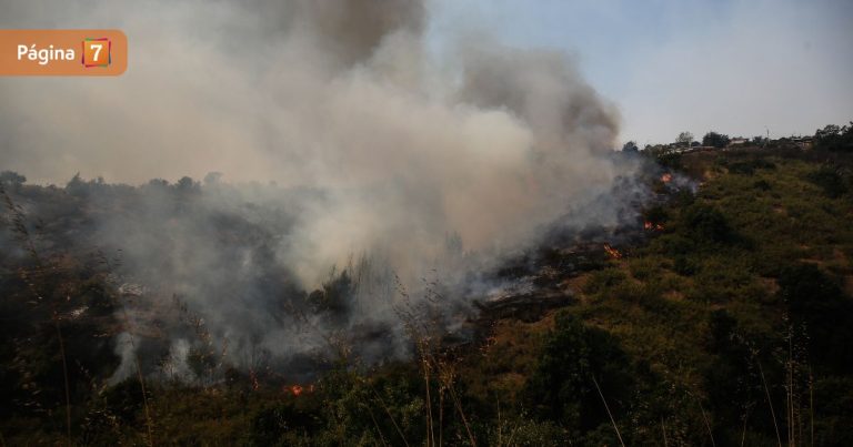 Continúa Alerta Roja en San Javier por incendio forestal: hay al menos 1200 hectáreas quemadas