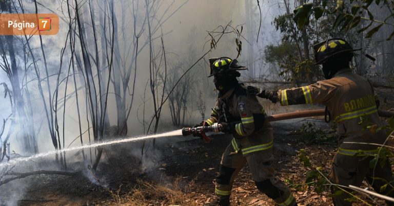 Senapred declara Alerta Roja por incendio forestal en San Javier: ya consumió cerca de 200 hectáreas