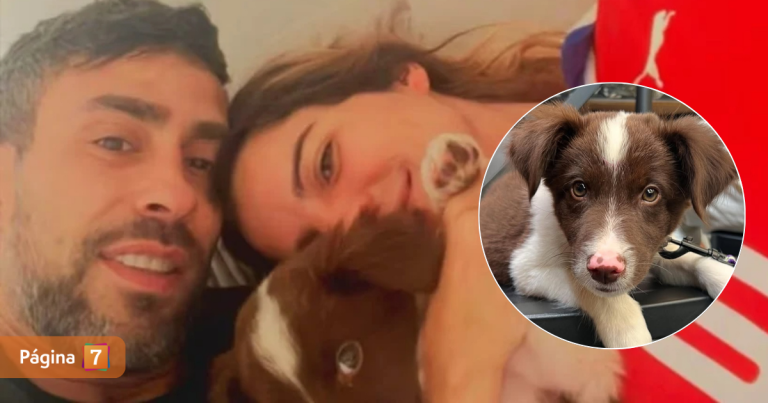 ¿Qué pasó con el perrito de Maite Orsini y Jorge Valdivia? Aseguran que este sería su paradero
