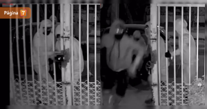 Registran indignante turbazo a pareja de adultos mayores en Conchalí: “Pégale un balazo”