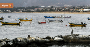 Pescador murió en trágico accidente laboral e Guanaqueros: ¿qué se sabe de este crudo caso?