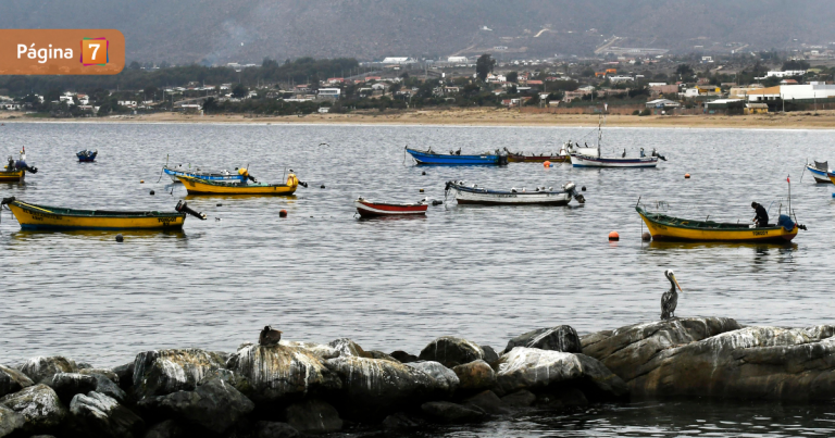 Pescador murió en trágico accidente laboral en Guanaqueros: ¿qué se sabe de este crudo caso? 