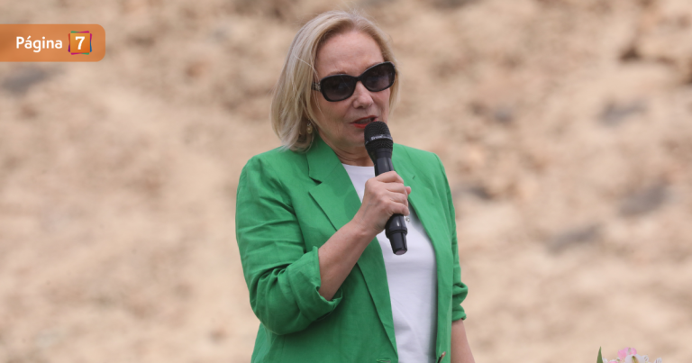 Cecilia Morel por instalación de estatua de Sebastián Piñera: 