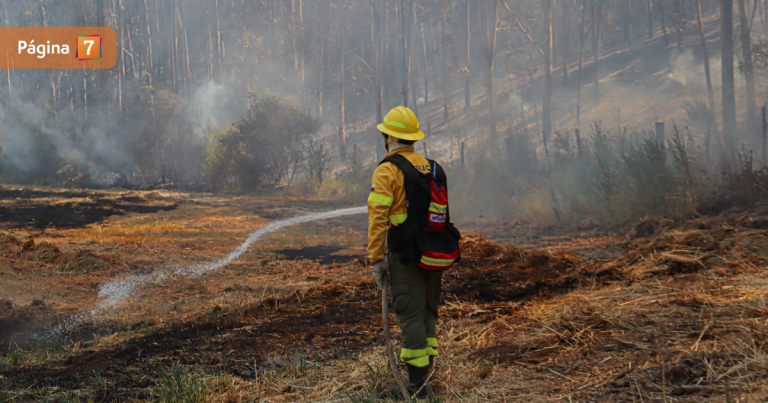 Incendio forestal se aproximó a zona urbana de Collipulli: aún hay nueve focos activos