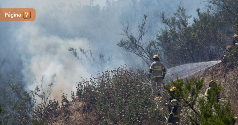 Senapred levanta Alerta Roja en Huechuraba por incendio forestal en sector de Las Tranqueras