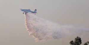 Senapred entregó nuevo balance sobre incendios forestales: hay una víctima fatal