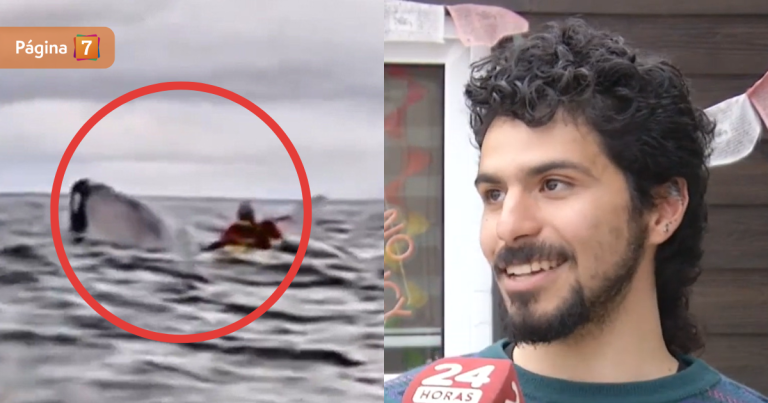 Kayakista tragado por una ballena en bahía de Magallanes: 