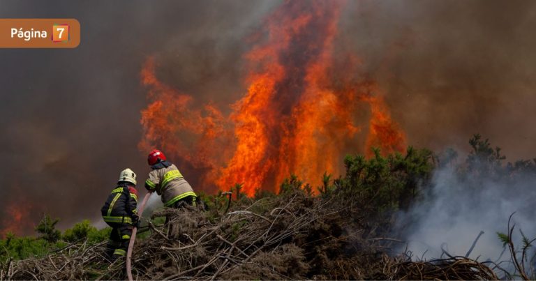 Tras toque de queda en La Araucanía: cómo solicitar tu salvoconducto en Comisaría Virtual
