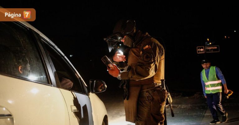 Por incendios forestales: las 12 comunas que renovaron su toque de queda en La Araucanía