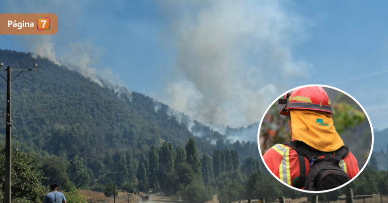 Continúa incendio forestal en el Biobío: bomberos se enfrentan a dificultades climáticas