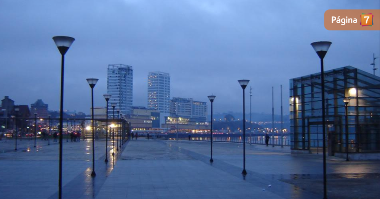 Mujer murió aplastada por un árbol en Puerto Montt en medio de fuerte sistema frontal