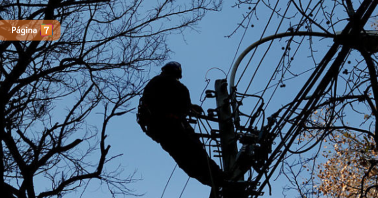 Por una maniobra no informada y sin permiso de trabajo: CEN reveló responsables del megacorte de luz