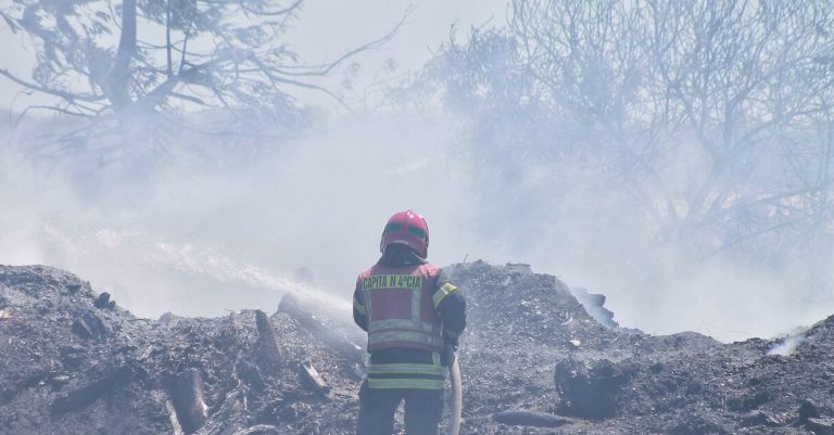 ¿Qué es el viento Puelche?: El fenómeno meteorológico que podría propagar incendios forestales