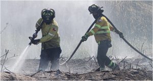 Senapred emite Alerta Roja para Los Sauce y Lumaco en la La Araucanía por incendios