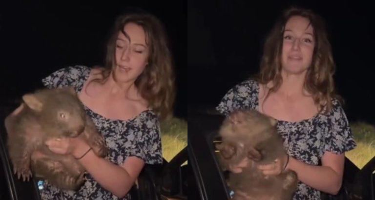 La influencer que indignó a Australia por capturar una cría de wombat abandonó el país