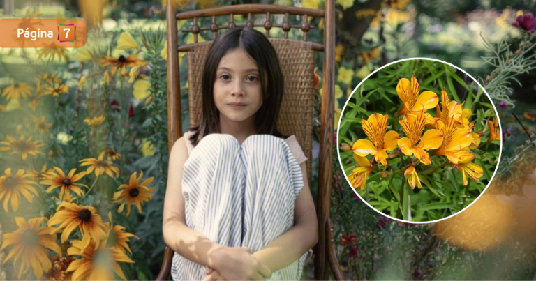 Flor de Amancay: ¿es real la leyenda que se mencionó en el primer capítulo de El Jardín de Olivia?