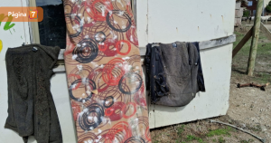 hallazgo de elementos lancha bruma