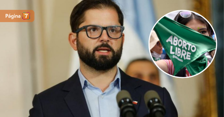 Aborto legal en Chile: Gobierno insiste con reforma que ingresará al Congreso la próxima semana