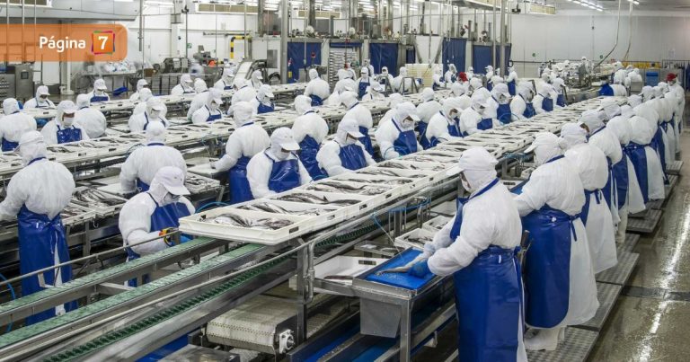 PacificBlu confirma cierre de operaciones que afectará a 2400 trabajadores: este es el motivo