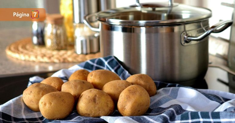 Día Internacional de la Papa: de los Andes a tu mesa, el cultivo que cambió la historia