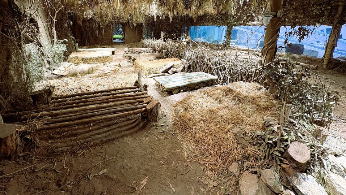 Desde una fogata hasta un inodoro inteligente: conoce cómo será la casa de Mundos Opuestos 3