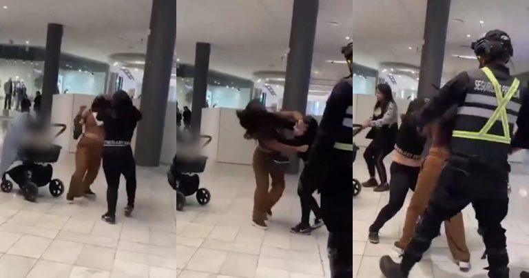 Registran brutal pelea de ‘mecheras’ en Mallplaza Vespucio: una de ellas tenía un bebé en brazos