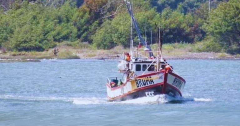 Encuentran restos de embarcación en playa de Lota
