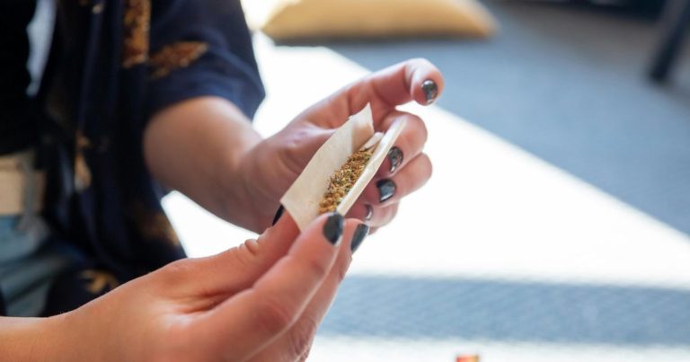 Marihuana bajo la lupa: estudio alerta por alza de infartos, ACV y adicción en consumidores jóvenes