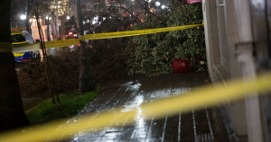 Sistema frontal desde Biobío hacia el sur: cortes de luz, caída de árboles y bloqueo de caminos