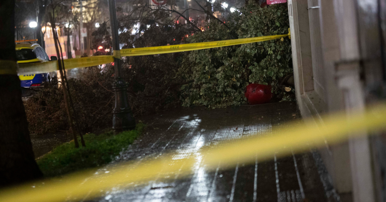 Sistema frontal desde Biobío hacia el sur: cortes de luz, caída de árboles y bloqueo de caminos
