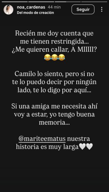 Amiga de Marité Matus disparó con todo contra Camilo Huerta