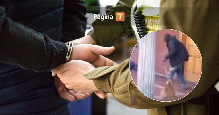 Detienen a sujeto que agredió brutalmente a un perro en Copiapó: posee amplio prontuario policial