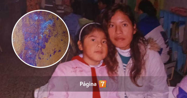 Mujer acusada de apuñalar 74 veces a su hija de 10 años fue absuelta: 
