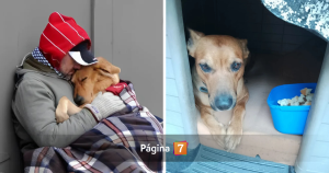 Hombre que vivía en la calle y murió de frío por no abandonar a su perro: "Ahora duerme calentito"