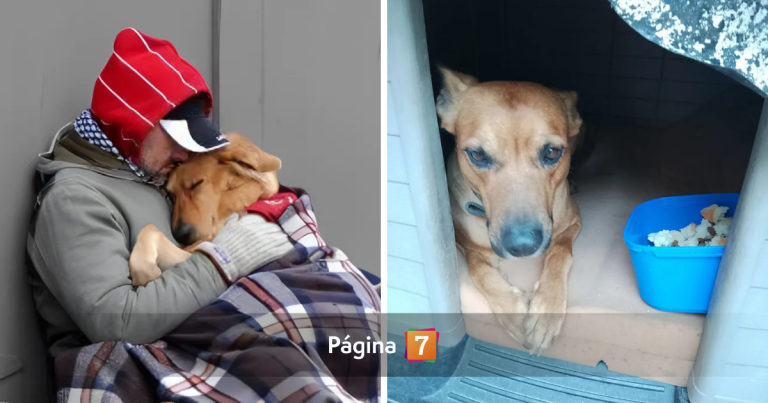 Hombre en situación de calle murió de frío por no abandonar a su perro: refugios no lo aceptaban