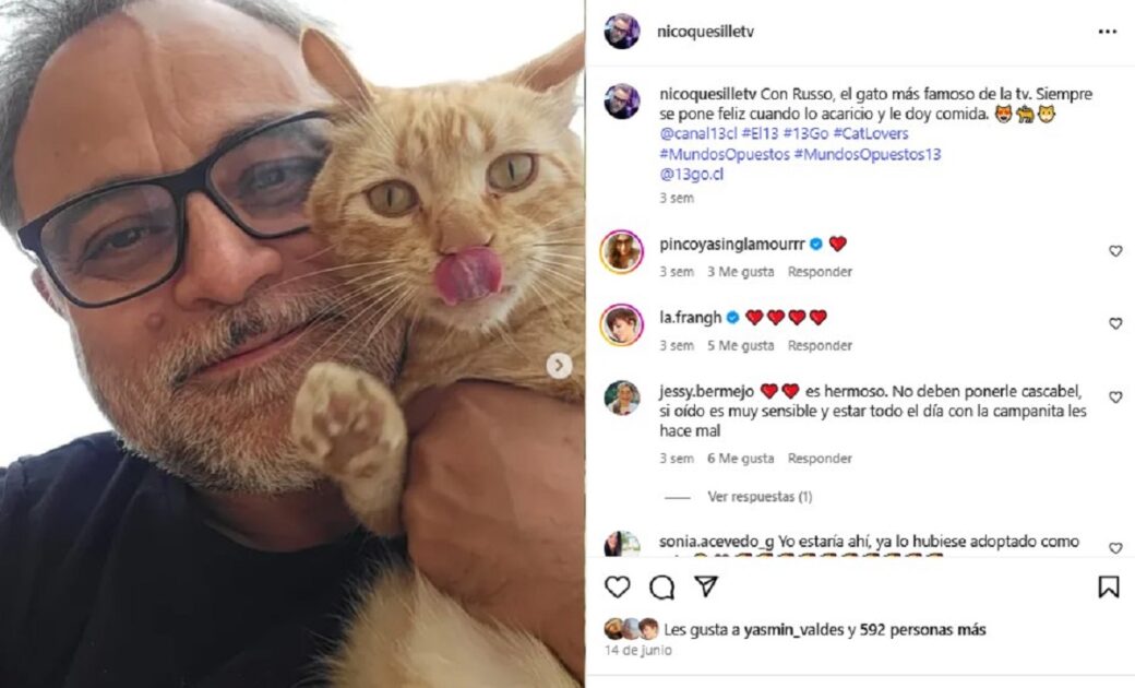 ¿Quién es el Russo? Conoce al tierno gato que se roba las miradas en Mundos Opuestos