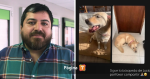 Profesor de UDD murió mientras paseaba a su perrita en Concepción: piden ayuda para hallarla