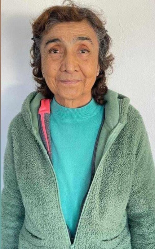 Profesora jubilada desapareció desde hogar de adultos mayores en Llolleo: activan intensa búsqueda