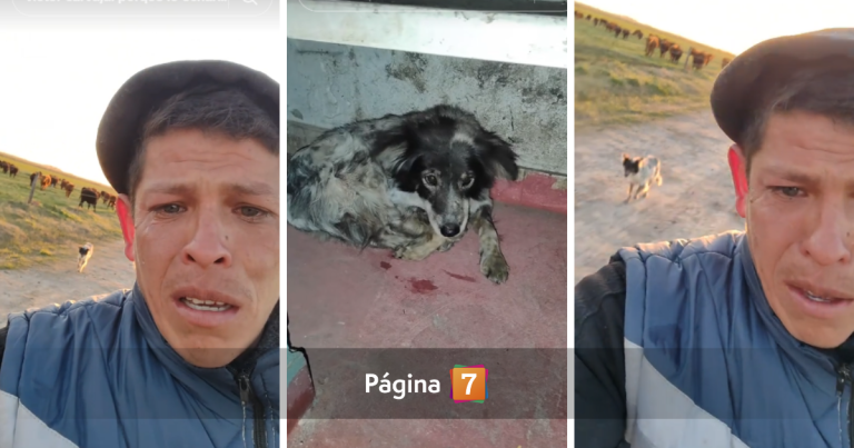 Hombre se hizo viral al llorar por perrito tras ser despedido: 