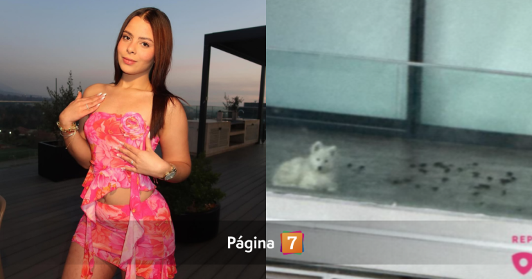 Acusan a conocida influencer de maltrato animal: sus vecinos de Vitacura la denunciaron en Sosafe