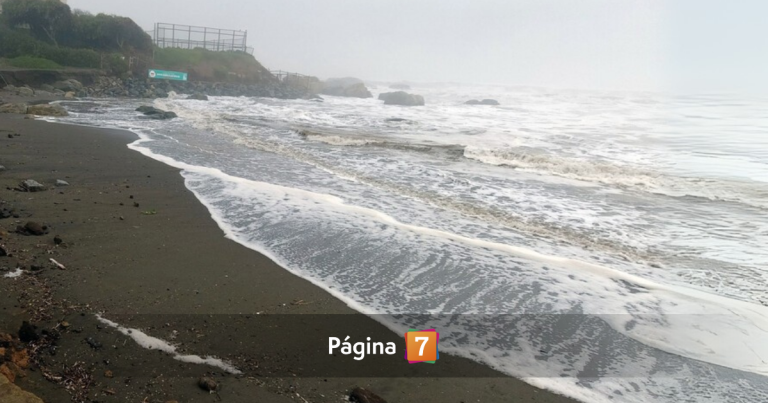 PDI investiga hallazgo de pie humano en playa de Santo Domingo: estaba al interior de una zapatilla