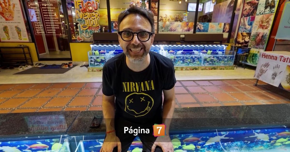 De cultura a espectáculos: las 4 categorías de televisión que están presentes en los Premios Cordillera 2025