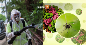 China en alerta por virus chikungunya