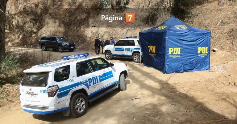 Macabro hallazgo en Limache: menores de edad encontraron cráneo de una mujer al interior de un fundo