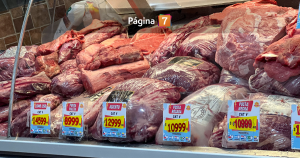 Importación de carne de patagonia argentina