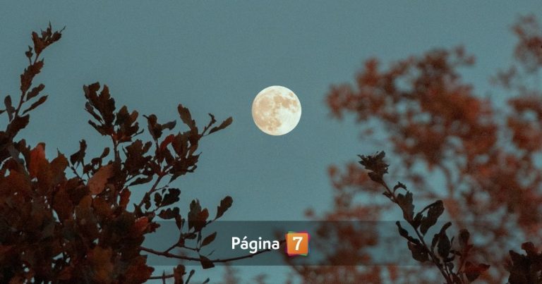 Luna del esturión y lluvia de estrellas: cuándo ver el fenómeno astronómico más esperado de agosto